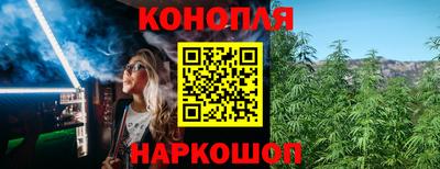 эйфоретик Славгород