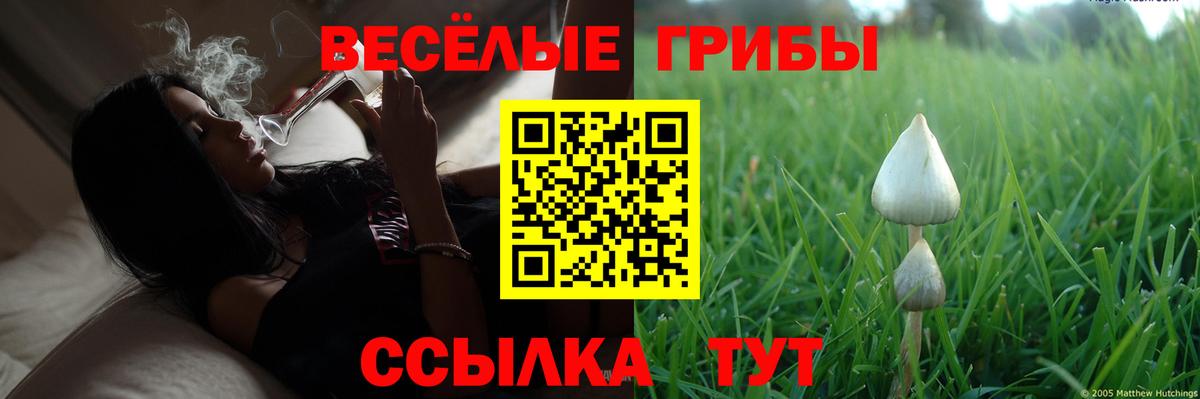 Псилоцибиновые грибы GOLDEN TEACHER  Вход с VPN  Саранск 